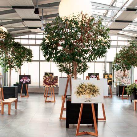 Tierwelt in der Raffeiner Orchideenwelt: Bunte Schmetterlinge