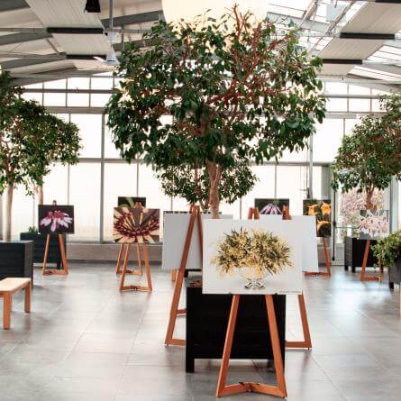 Tierwelt in der Raffeiner Orchideenwelt: Bunte Schmetterlinge